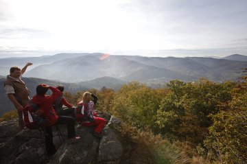 Sommer im Schwarzwald