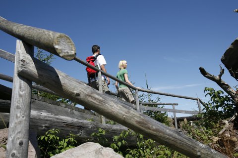 Es führen einige Wanderwege durch den Nationalpark Schwarzwald
