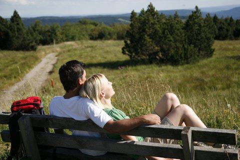 Pärchen, das sich auf einer Bank im Schwarzwald erholt und entspannt