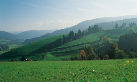Frühling in Baiersbronn