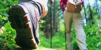 Nordic Walking-Wanderungen im Schwarzwald