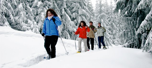 Winterwandern im Nordschwarzwald