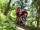 Familie wandert durch den Wald in Bad Wildbad