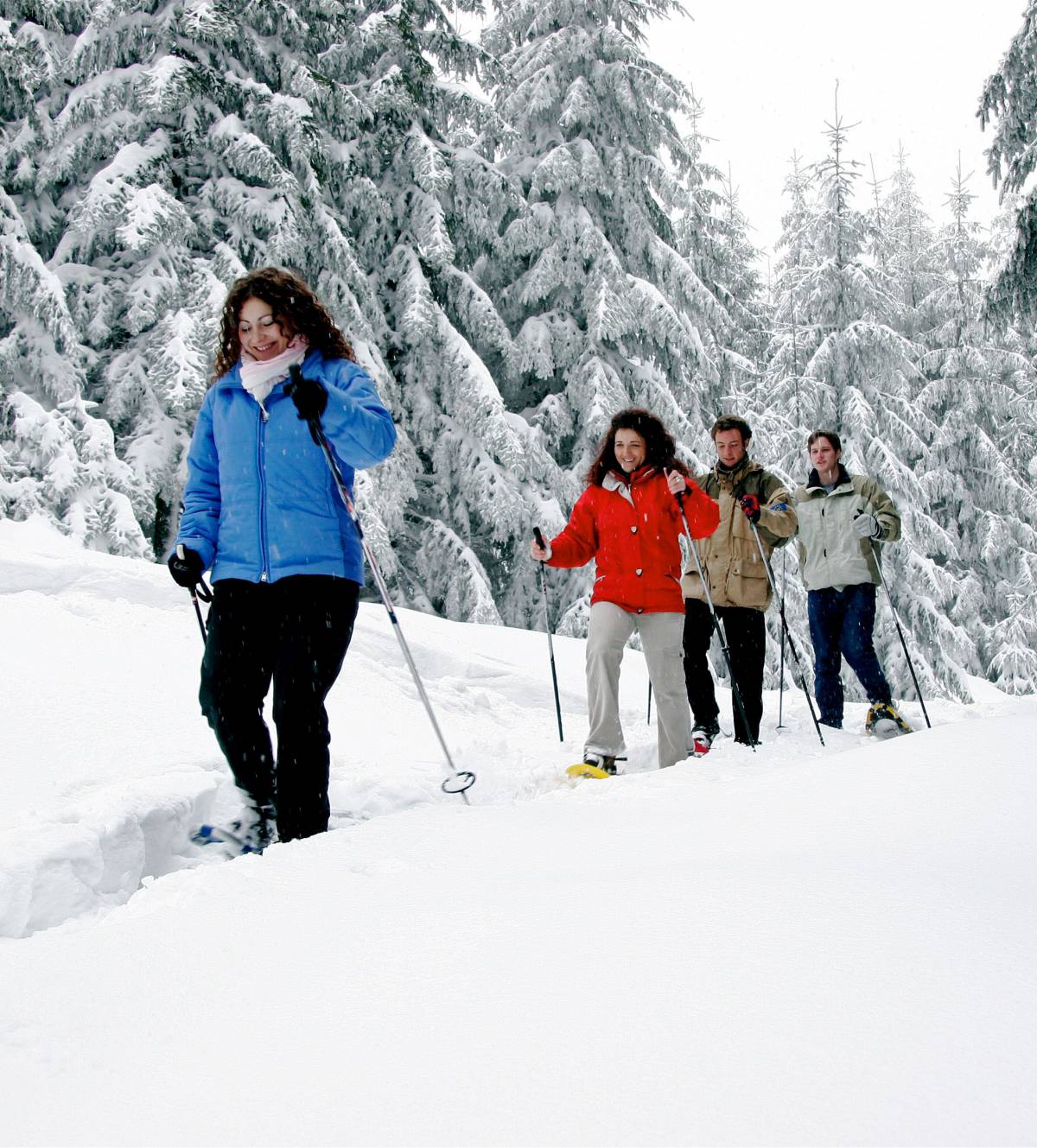 Randonnée en Raquettes à Neige - Forêt Noire en Allemagne