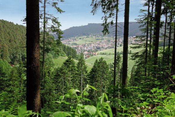 Tonbach in Baiersbronn als Herz des Schwarzwald Nationalparks