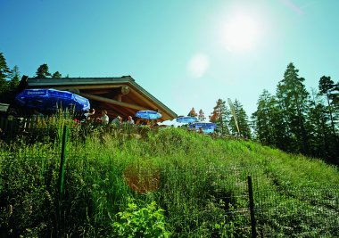 Glasmännlehütte in Baiersbronn