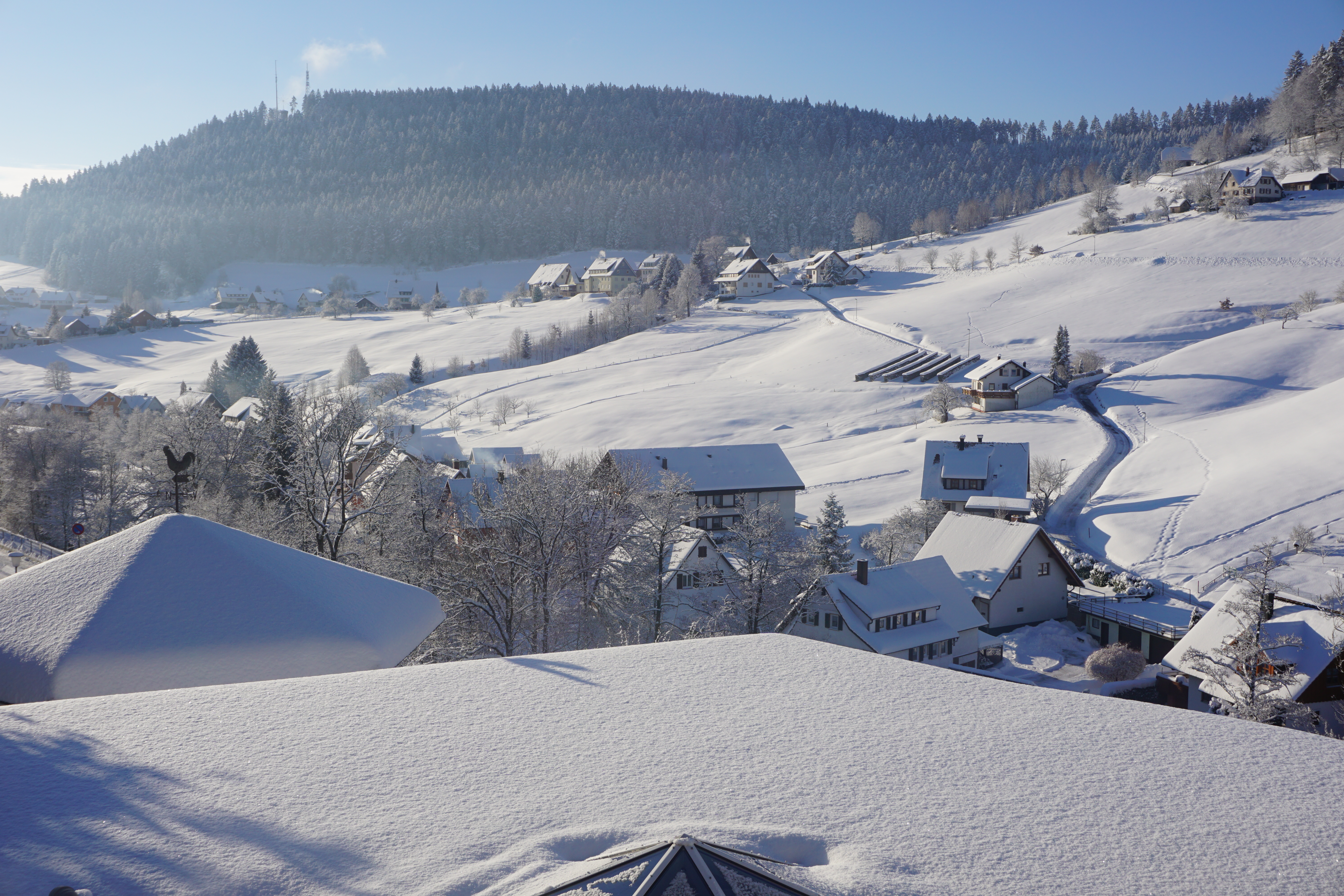 Eingang des Hotel Waldlust Tonbach im Schwarzwald